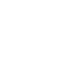 Icon Einkaufstaschen